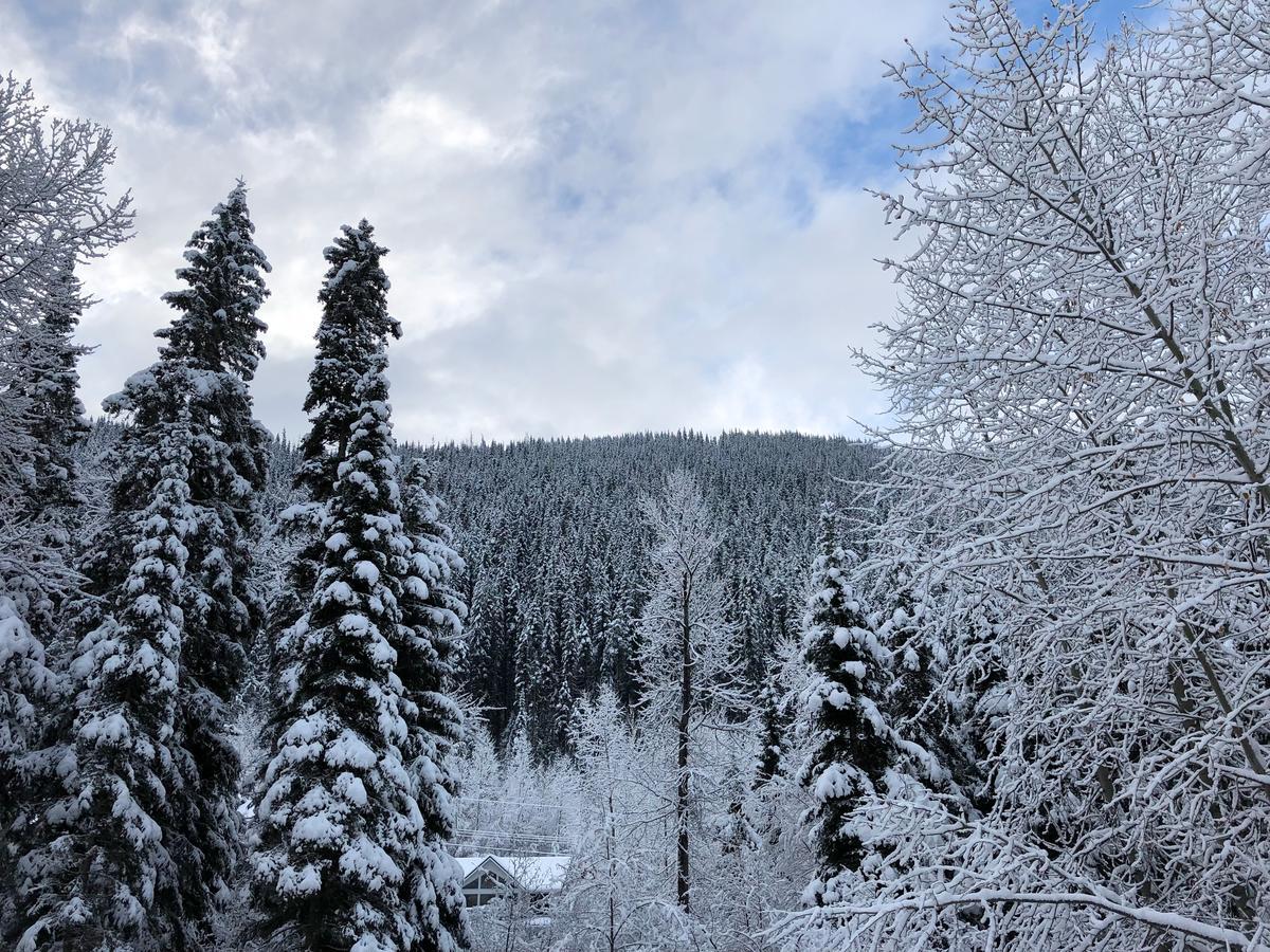 The Burfield Ξενοδοχείο Sun Peaks Εξωτερικό φωτογραφία